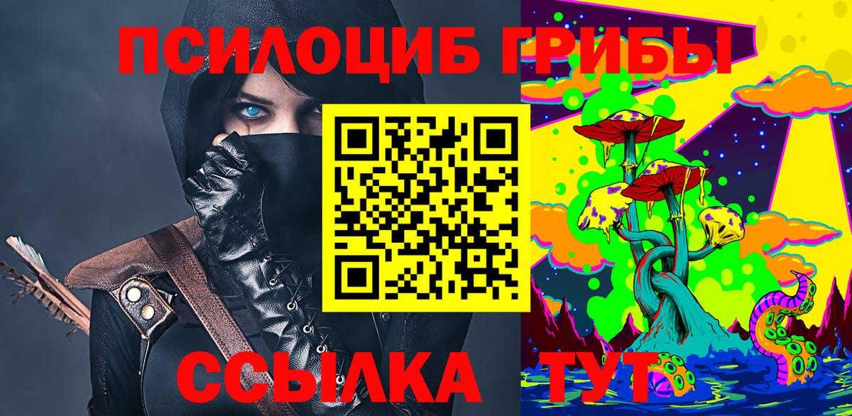 Псилоцибиновые грибы Psilocybine cubensis Магнитогорск