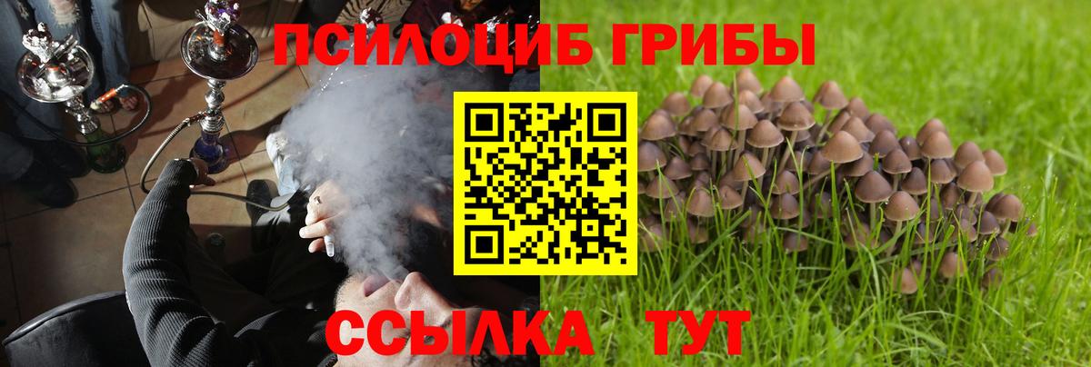 Магнитогорск  Псилоцибиновые грибы мухоморы  Вход с VPN  Псилоцибиновые грибы ЛСД 
